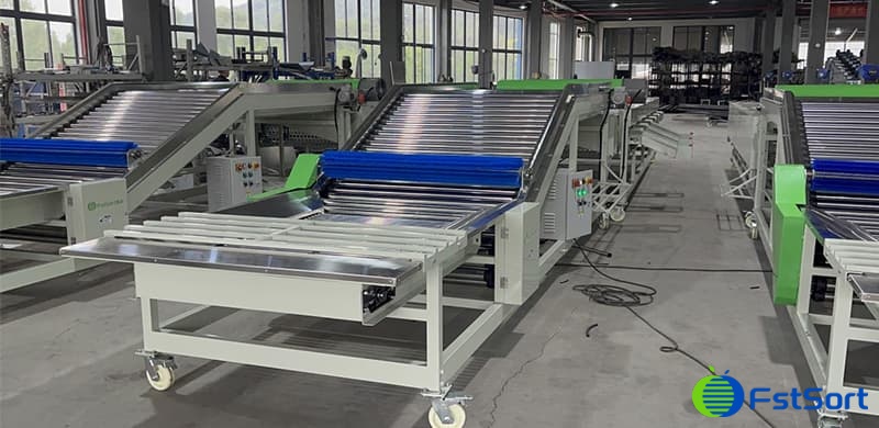 images/1702370244344máquina industrial de ajo.jpg